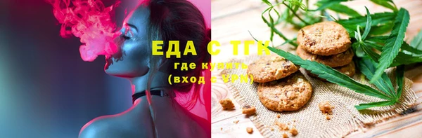 тгк Новозыбков