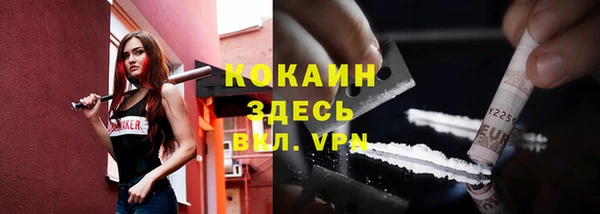тгк Новозыбков