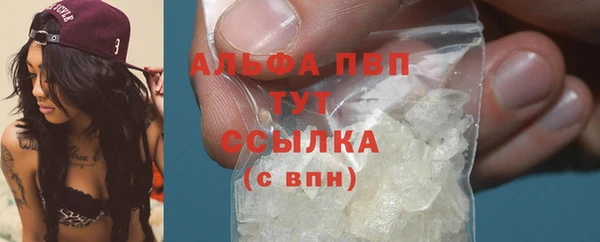 apvp Болотное