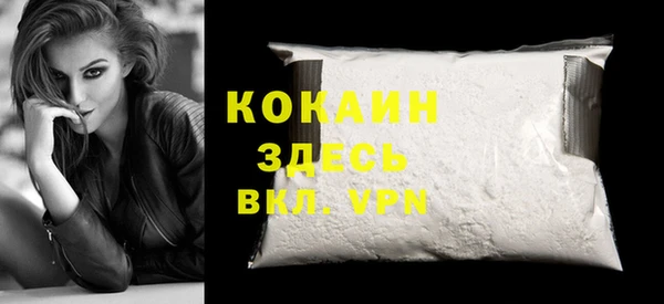 тгк Новозыбков