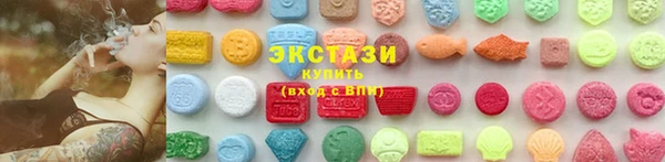 тгк Новозыбков