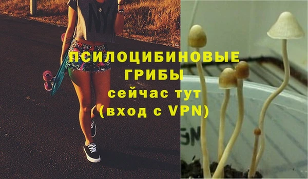 mdpv Новокубанск