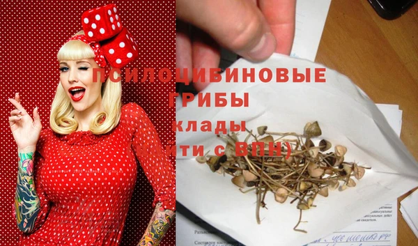 не бодяженный Новодвинск