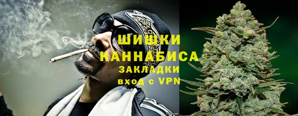 хмурый Нея