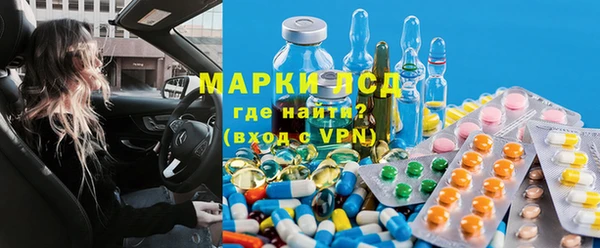 тгк Новозыбков